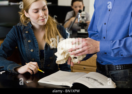 Teacher showing skull to student in anatomy class Stock Photo