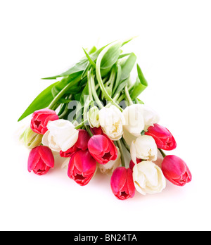 Bouquet of red and white tulips isolated on white background Stock Photo