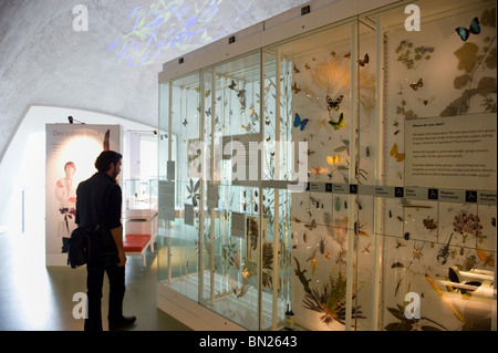 People looking at displays within the Darwin Centre cocoon in the Natural History Museum, London UK Stock Photo