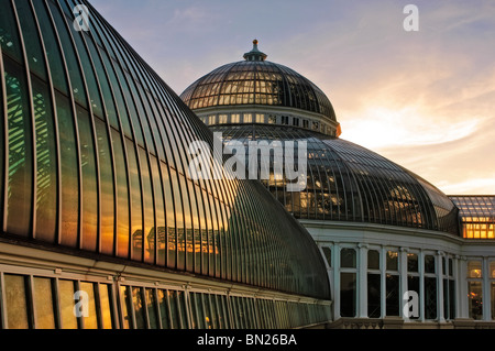 Marjorie McNeely Conservatory at Como Park in St. Paul, Minnesota was first opened in 1915. Stock Photo