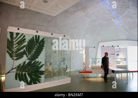 People looking at displays within the Darwin Centre cocoon in the Natural History Museum, London UK Stock Photo