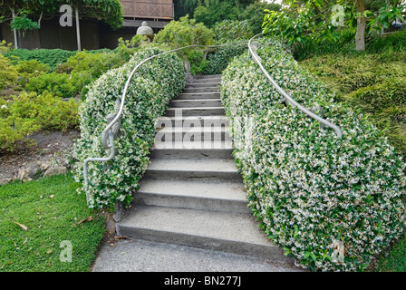 Winding stairs with blooming flowers surrounding in the Japanese gardens at the Huntington Library. Stock Photo