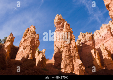 On the Navajo Loop Trail, Bryce Canyon National Park, Utah Stock Photo