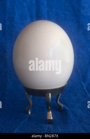 Ostrich egg ready to carved Stock Photo