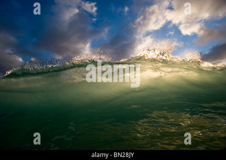A wave is illuminated from behind by the sunset lighting. Stock Photo