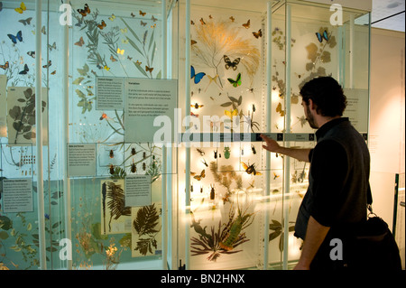 People looking at displays within the Darwin Centre cocoon in the Natural History Museum, London UK Stock Photo