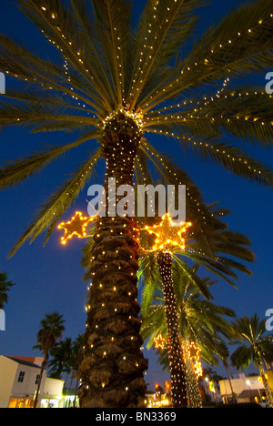 Palm trees decorated with Christmas lights in the Normandy Isle neighborhood in Miami Beach, Florida, USA Stock Photo