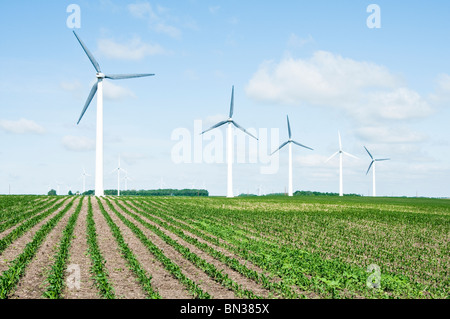 wind turbines located on farmland near Lake Benton Minnesota. Corn field in the foreground. Stock Photo