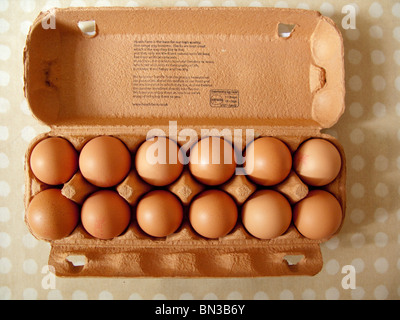 A dozen brown eggs in a carton on a kitchen table. Stock Photo