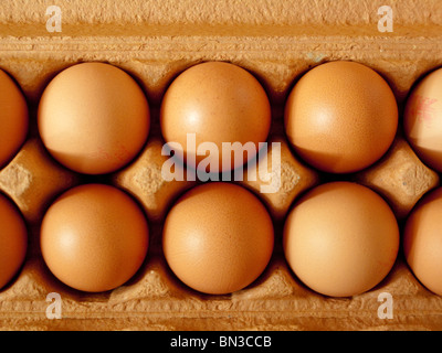 Eggs in a carton Stock Photo