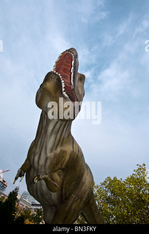 Copy of a Tyrannosaurus Rex, Naturmuseum Senckenberg, Frankfurt am Main, Hesse, Germany Stock Photo