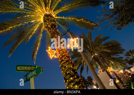Palm trees decorated with Christmas lights in the Normandy Isle neighborhood in Miami Beach, Florida, USA Stock Photo