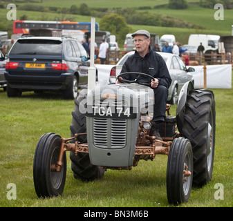 farmer driving a grey vintage Ferguson tractor at Dalry Farmer's Show, north Ayrshire, Scotland, UK Stock Photo