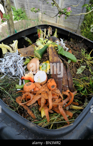 Compost bin in a garden with kitchen waste. Stock Photo
