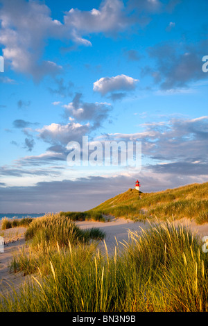Beach and dunes, lighthouse List-Ost in the background, Ellenbogen, Sylt, Germany Stock Photo