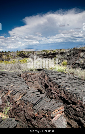 Lava rocks at the Valley of Fires Recreation Area, New Mexico, USA Stock Photo