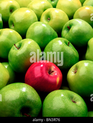 Close-up of red apple and granny smith apples Stock Photo