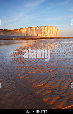 Beach view of Birling Gap looking toward the towering chalk cliffs of Beachy Head, lit by the setting sun. Stock Photo