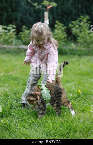 domestic cat, house cat, European Shorthair (Felis silvestris f. catus), little girl whimsically laying a dandelion leaf onto a Stock Photo