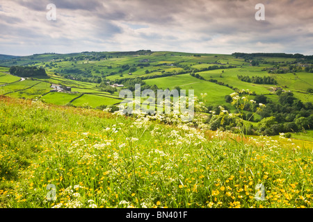 The River Worth Valley, looking toward Lumb Foot and Stanbury, from a viewpoint near the village of Haworth, Yorkshire, England Stock Photo