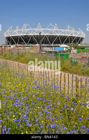 Flowers planted Greenway footpath & bike cycling route embankment above Joseph Bazalgette Northern Outfall Sewer 2012 Olympic stadium East London UK Stock Photo