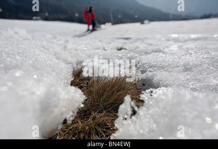 People ski on artificial snow at the ski resort Tannheim, Bogen ...