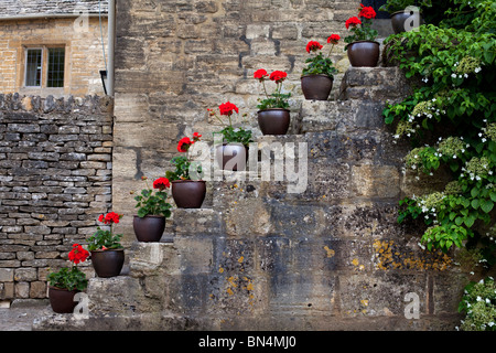 Potted geraniums on steps in front of a cottage in Withington, Gloucestershire, UK Stock Photo