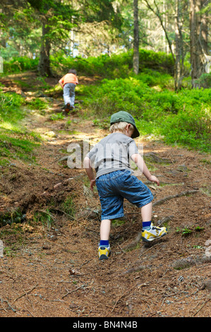 Children exploring in forest - boys playing outdoors Stock Photo