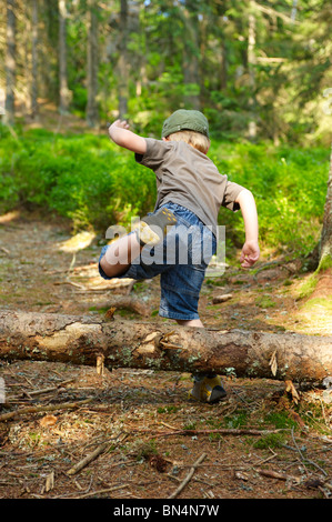 Children exploring in forest - boys playing outdoors Stock Photo