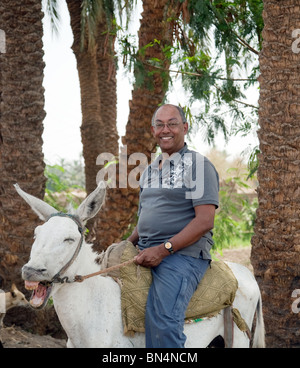 Fat man on  a donkey, Cairo, Egypt Stock Photo