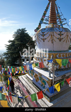 Buddhist Stupa and prayer flags. McLeod Ganj (Tibet Government in exile). Dharamsala. India Stock Photo