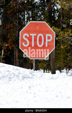 Stop sign buried in large snow banks Stock Photo