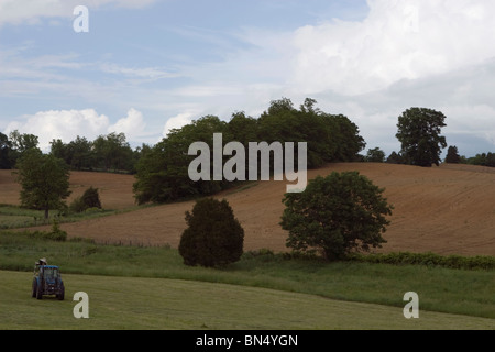 Tractor in freshly cut hay field on rural farm, Abingdon, Virginia Stock Photo