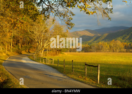 Autumn Colour In Cades Cove- Mountain Slopes And Oak Tree, Great Smoky ...