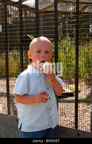 England, Cheshire, Stockport, Cheadle, Bruntwood Park, award-winning children's play area, child eating ice cream Stock Photo