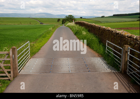 Cattle grid on narrow rural road. Cumbria Stock Photo