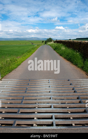 Cattle grid on narrow rural road. Cumbria Stock Photo
