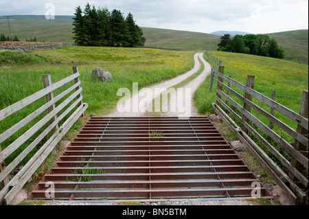 Cattle grid on narrow farm track Stock Photo