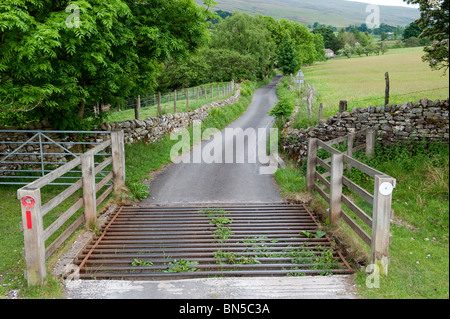 Cattle grid on narrow farm track Stock Photo