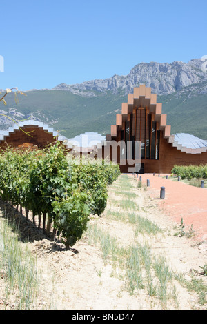 Bodegas Ysios Winery and vinyard, with the Sierra de Cantabria beyond, near Laguardia, Alava, Pais Vasco, Spain, Rioja Alavesa. Stock Photo