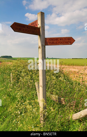 Yorkshire Wolds Way waymarker near Huggate, East Riding of Yorkshire, England, UK. Stock Photo