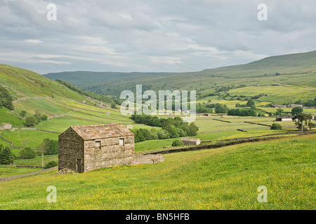 Upper Swaledale. Picture taken from above Thwaite. Shows field barn and hay meadows characteristic of the area in mid-summer. Stock Photo