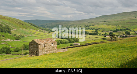 Upper Swaledale,. Picture taken from above Thwaite. Shows field barn and hay meadows characteristic of the area in mid-summer. Stock Photo