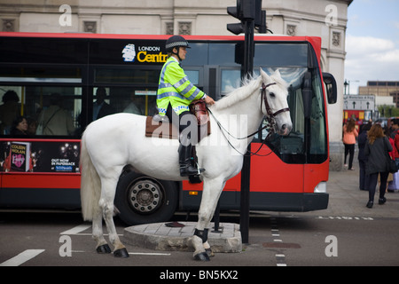 A female mounted police officer, waiting at a red traffic light, patrolling Parliament Square in London. Stock Photo