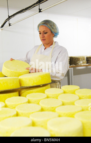 Suffolk Cheese maker at work Stock Photo