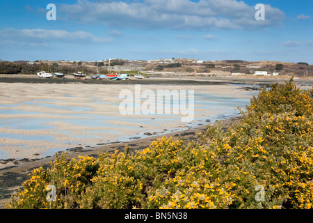 Hayle river; low tide; looking towards towans; Cornwall Stock Photo