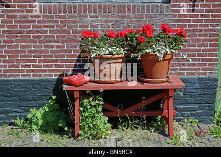 Idyllic front garden scene bench with geranium flower pots at Zaanse Schans open-air museum The Netherlands Europe Stock Photo