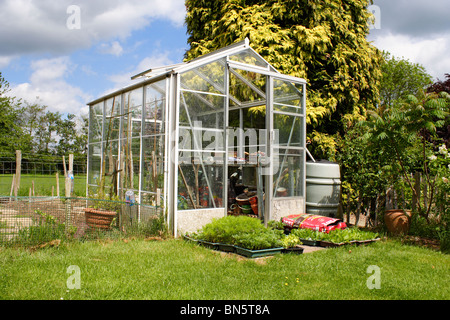 garden greenhouse in UK garden Stock Photo