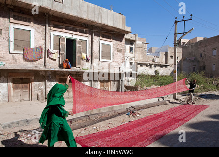 Husband and wife sun drying red shawls. Nagaur. Rajasthan. India Stock Photo