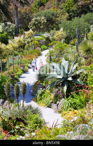 The Abbey gardens on Tresco, one of the Scilly Isles, off South West Cornwall, UK, renowned for its tropical plants Stock Photo